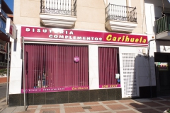 P1010366